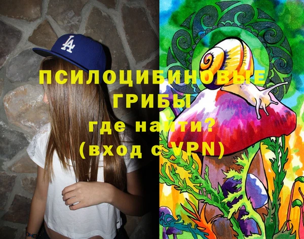 Альфа ПВП Фурманов