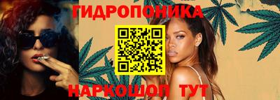 соль ск Дубна