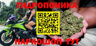 мдпв Донецк