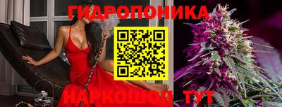 соль ск Дубна