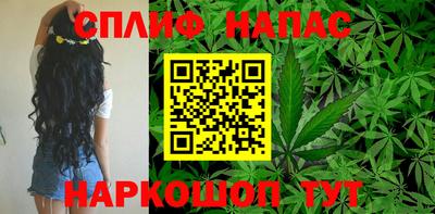 сатива Балаково