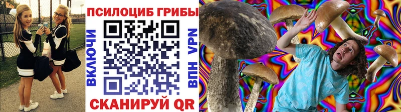 наркошоп  Шарыпово  Псилоцибиновые грибы GOLDEN TEACHER 
