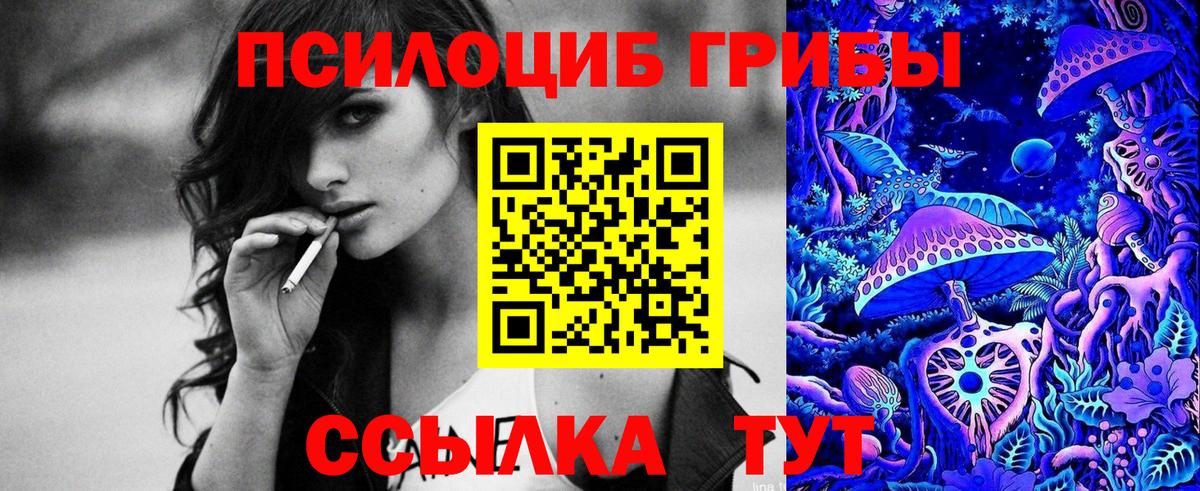 Псилоцибиновые грибы Cubensis Шарыпово