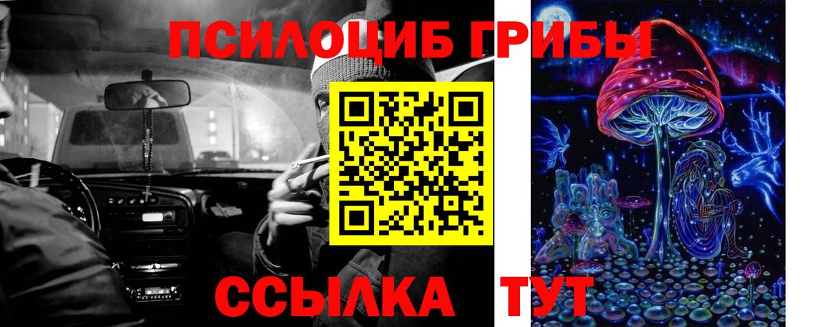 Псилоцибиновые грибы Cubensis  Вход с VPN  Шарыпово 